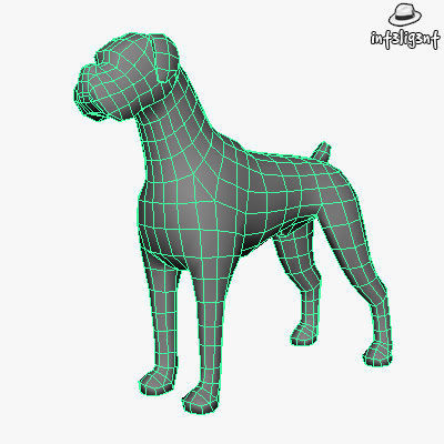 Dogs Collection bull terrier Low-poly 3D model_11