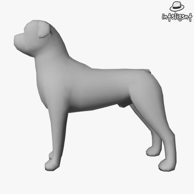 Dogs Collection bull terrier Low-poly 3D model_43