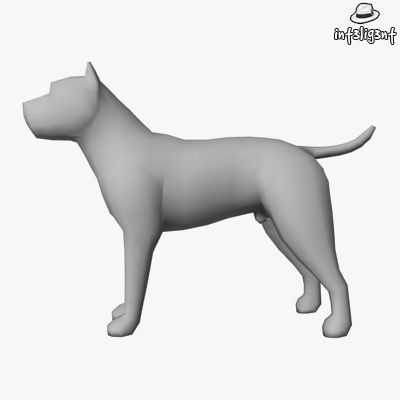 Dogs Collection bull terrier Low-poly 3D model_40