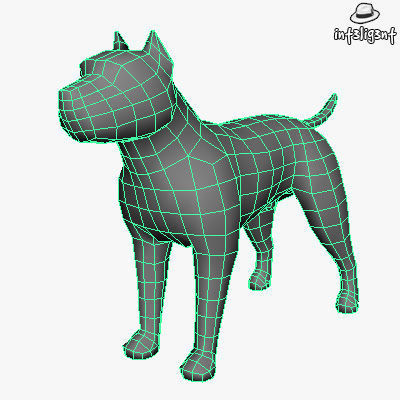 Dogs Collection bull terrier Low-poly 3D model_41