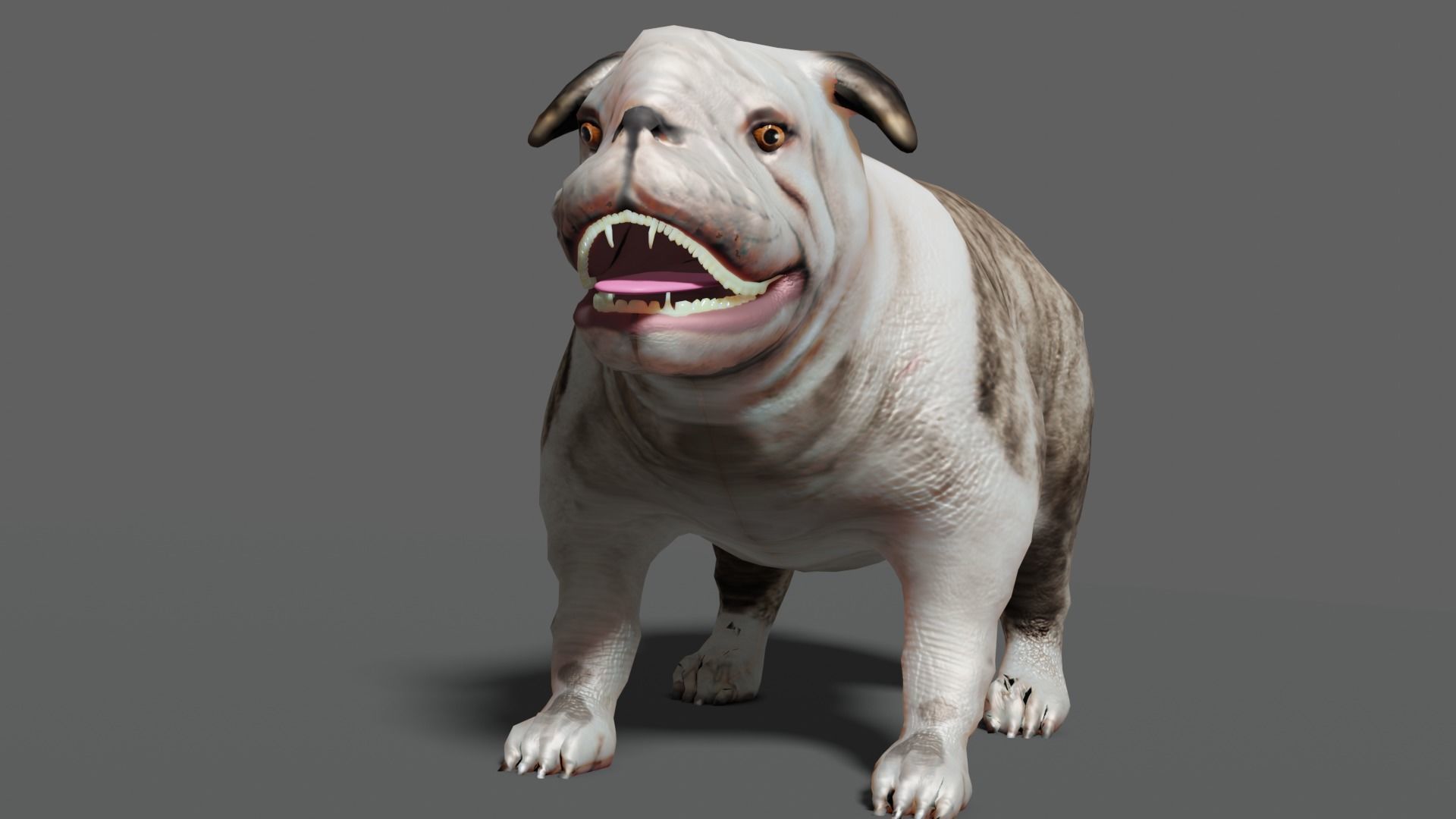 bulldog Low-poly 3D model_6