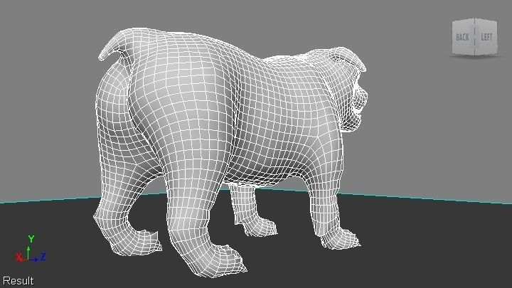 bulldog Low-poly 3D model_20