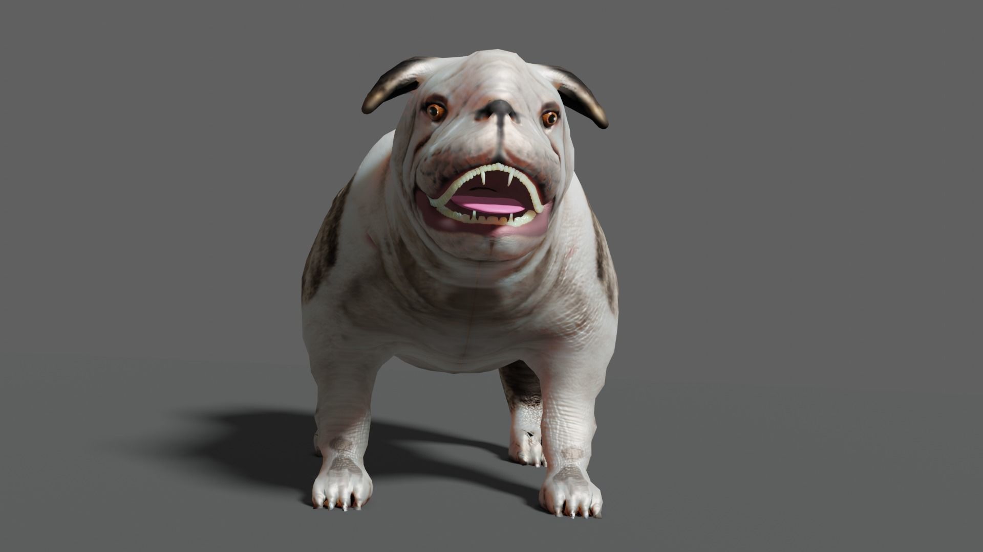 bulldog Low-poly 3D model_7