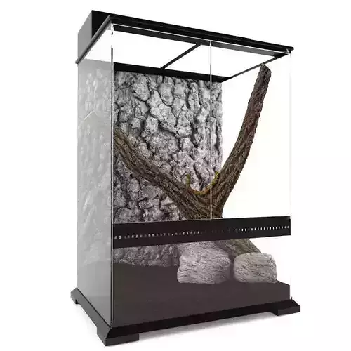 Terrarium With A Snake 3D model