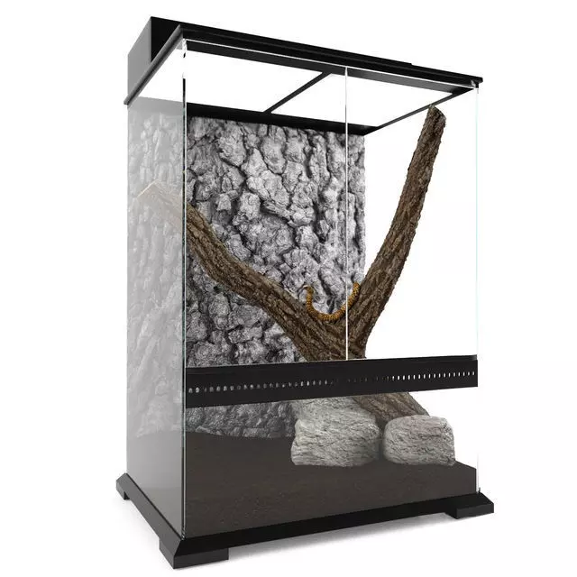 Terrarium With A Snake 3D model
