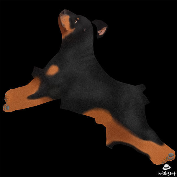 Doberman Low-poly 3D model_8