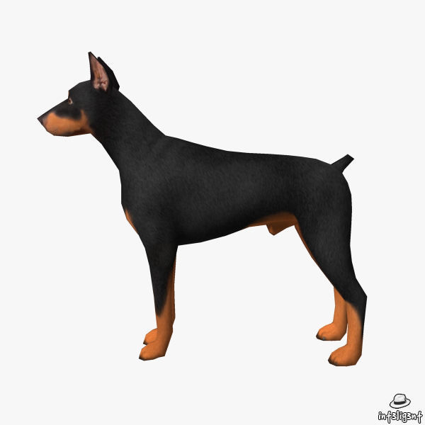 Doberman Low-poly 3D model_2