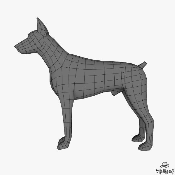 Doberman Low-poly 3D model_5
