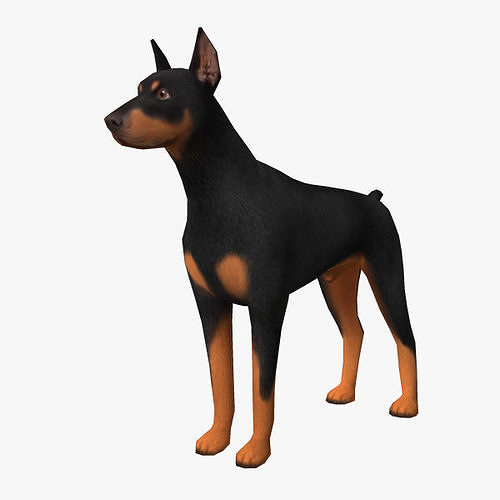 Doberman Low-poly 3D model