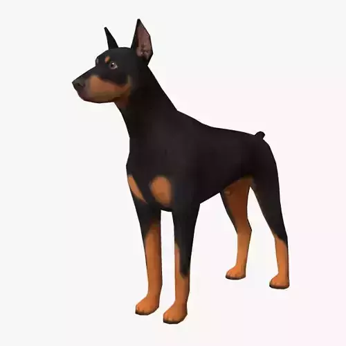Doberman Low-poly 3D model