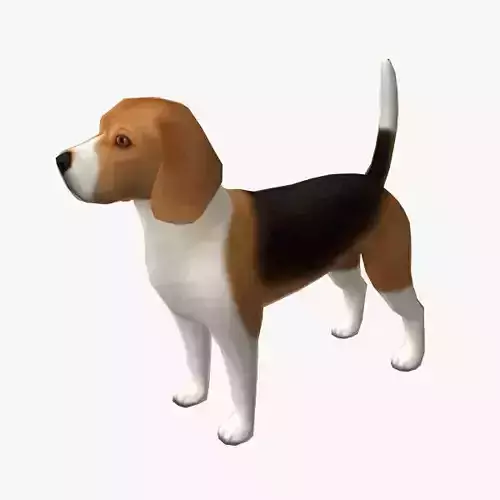 Beagle dog Low-poly 3D model