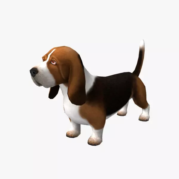 Basset Hound Low-poly 3D model_0