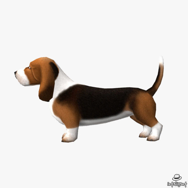 Basset Hound Low-poly 3D model_2