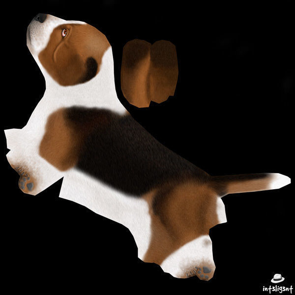Basset Hound Low-poly 3D model_8