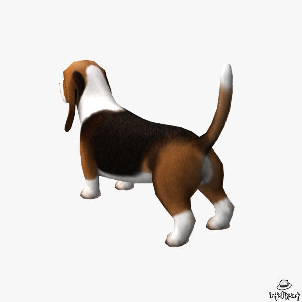 Basset Hound Low-poly 3D model_3