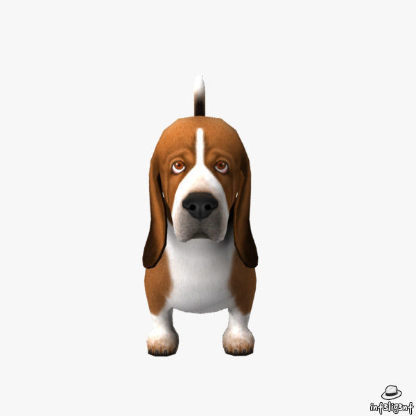 Basset Hound Low-poly 3D model_1
