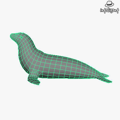 Low Poly Sea Lion Low-poly 3D model_4