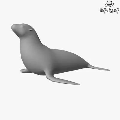 Low Poly Sea Lion Low-poly 3D model_0