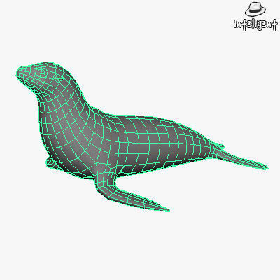 Low Poly Sea Lion Low-poly 3D model_3
