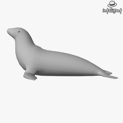 Low Poly Sea Lion Low-poly 3D model_1