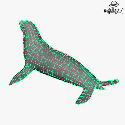 Low Poly Sea Lion Low-poly 3D model_5