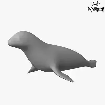 Low Poly Seal