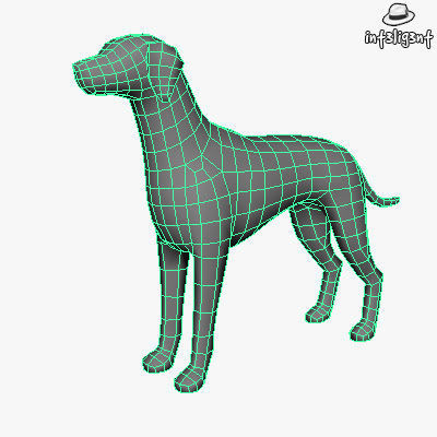 Low Poly Dalmatian dog Low-poly 3D model_3