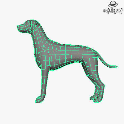 Low Poly Dalmatian dog Low-poly 3D model_4