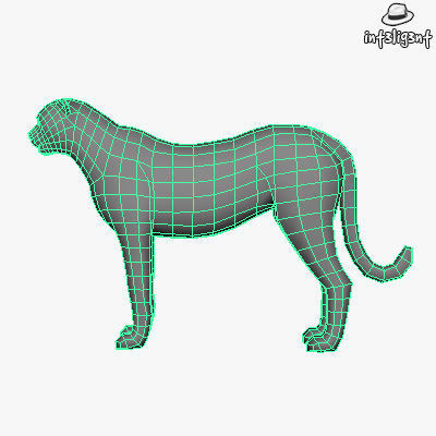 Low Poly Cheetah panther Low-poly 3D model_4