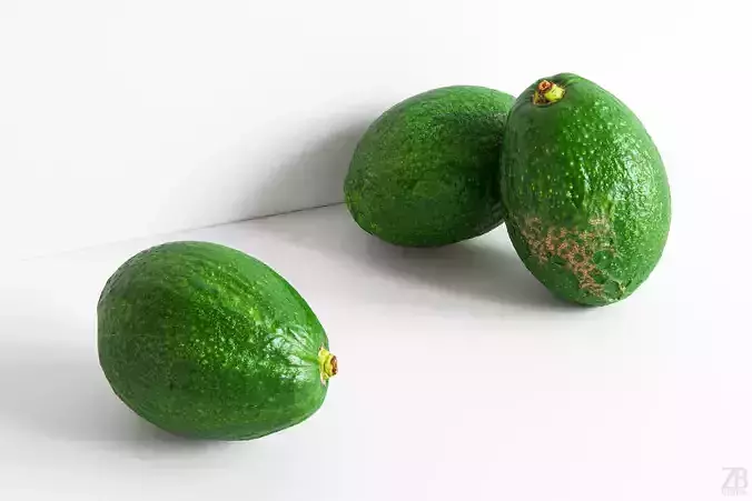 Avocado 3D model