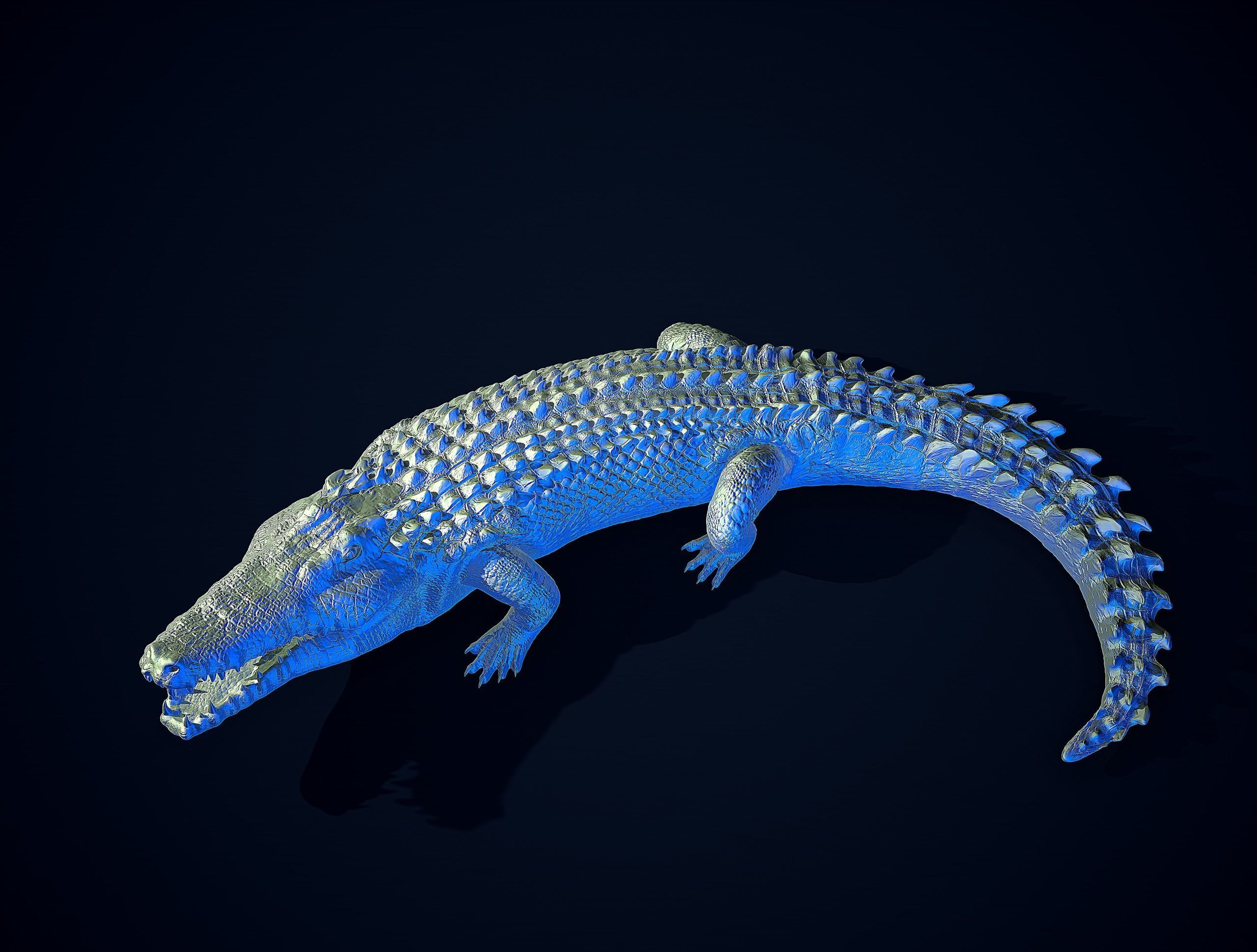 CROCODILE printready 3D print model_11