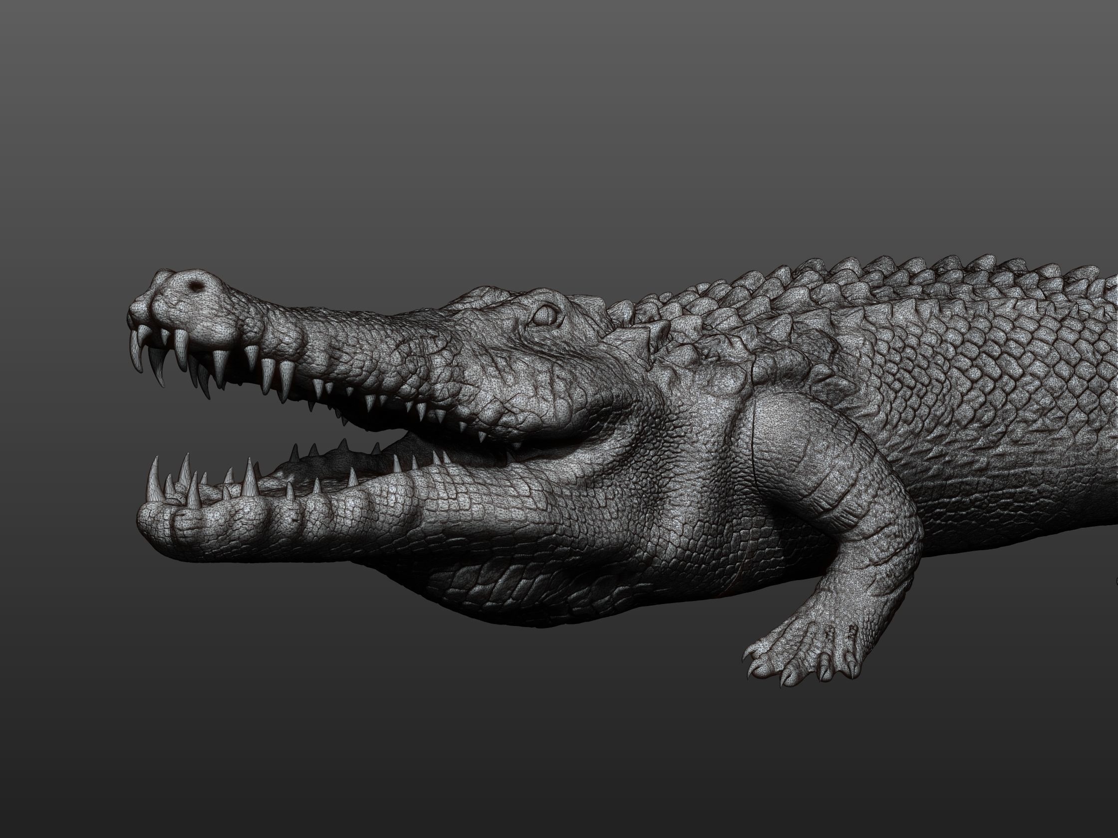 CROCODILE printready 3D print model_15