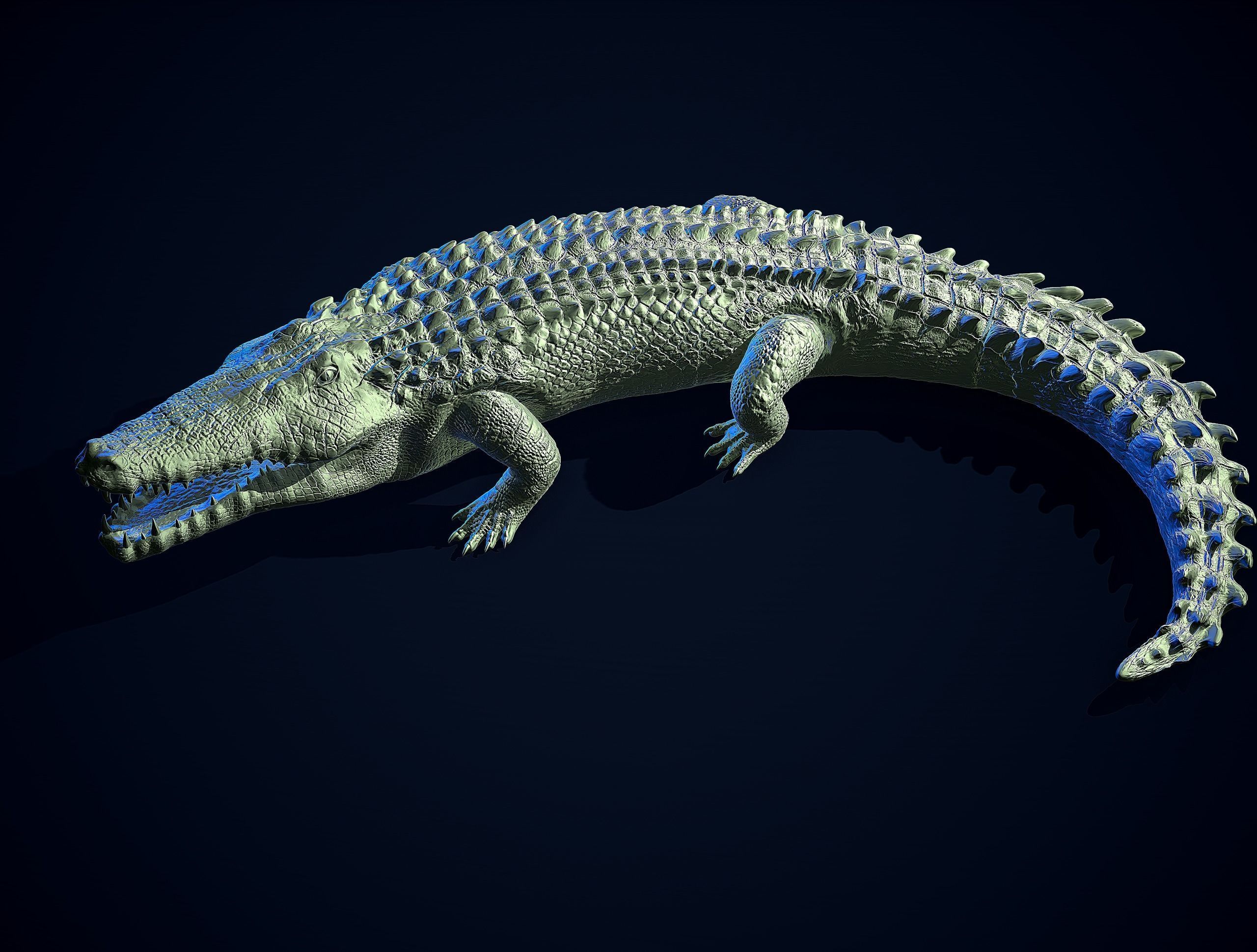 CROCODILE printready 3D print model_16