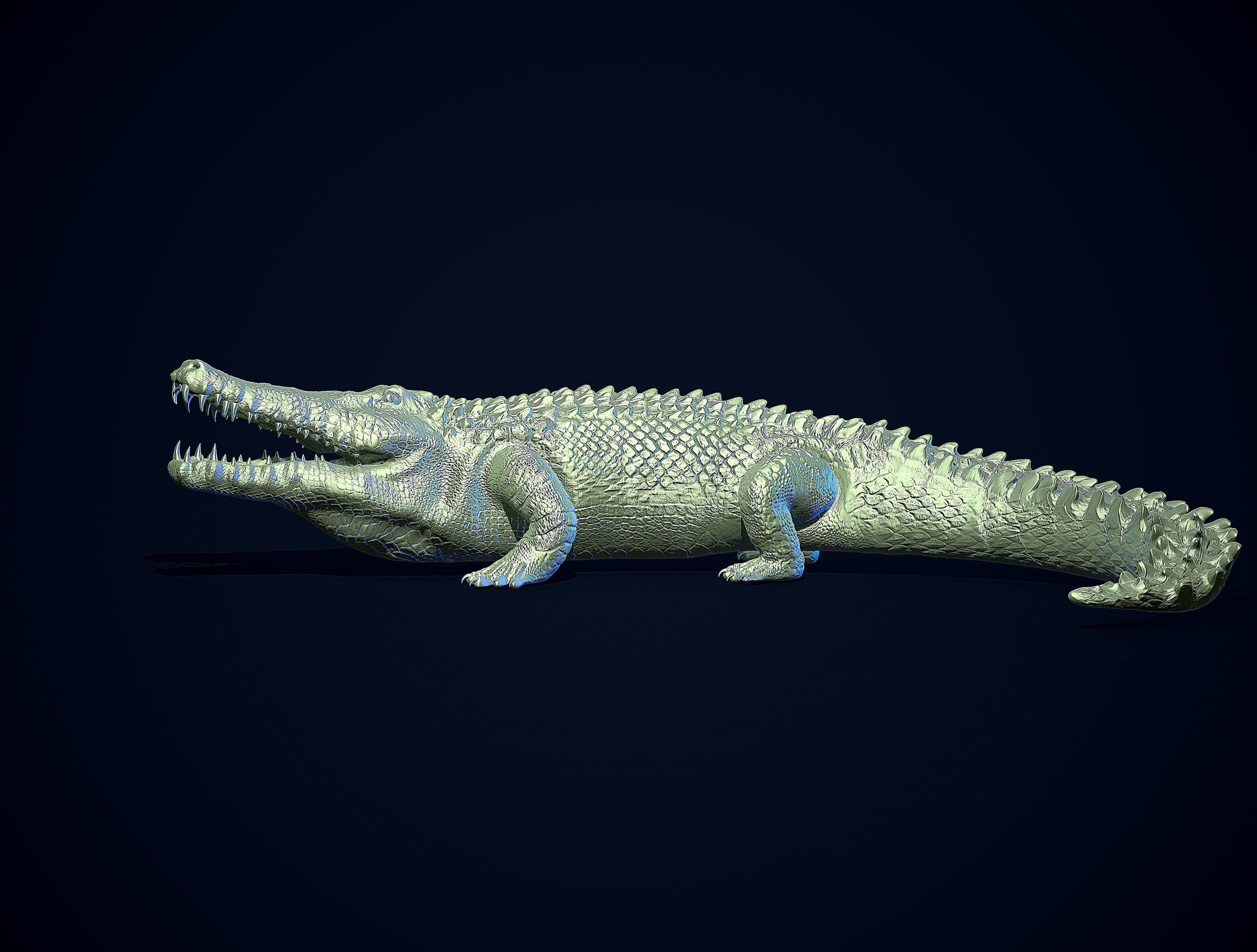 CROCODILE printready 3D print model_6