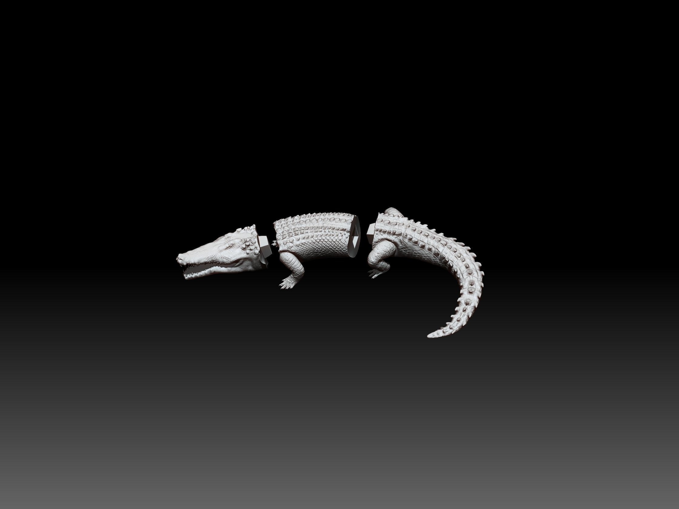 CROCODILE printready 3D print model_14