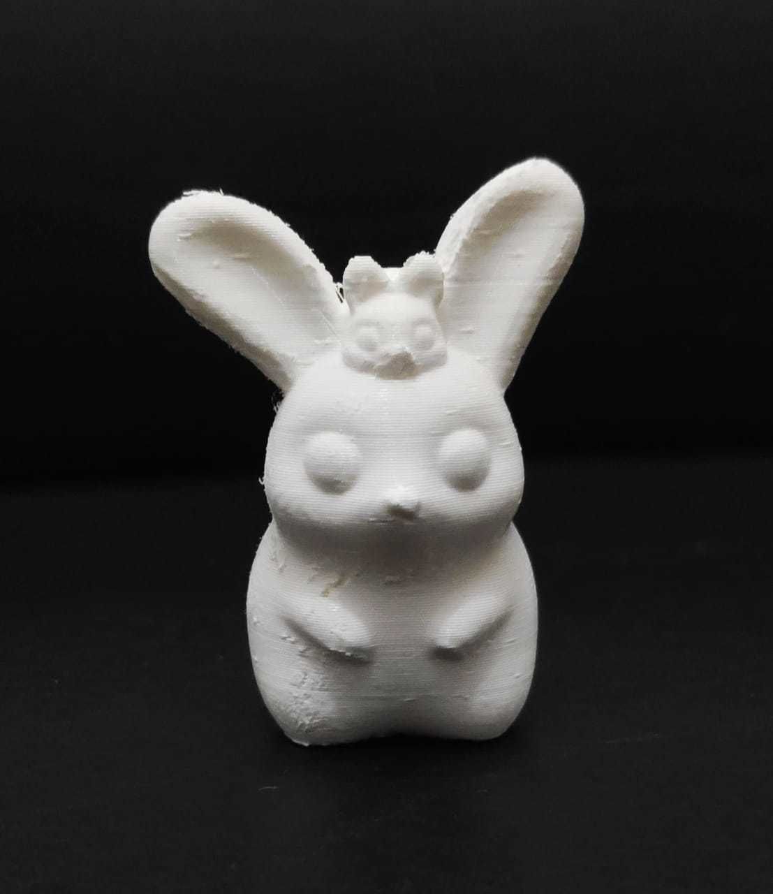 Bunny and Baby 3D print model_8