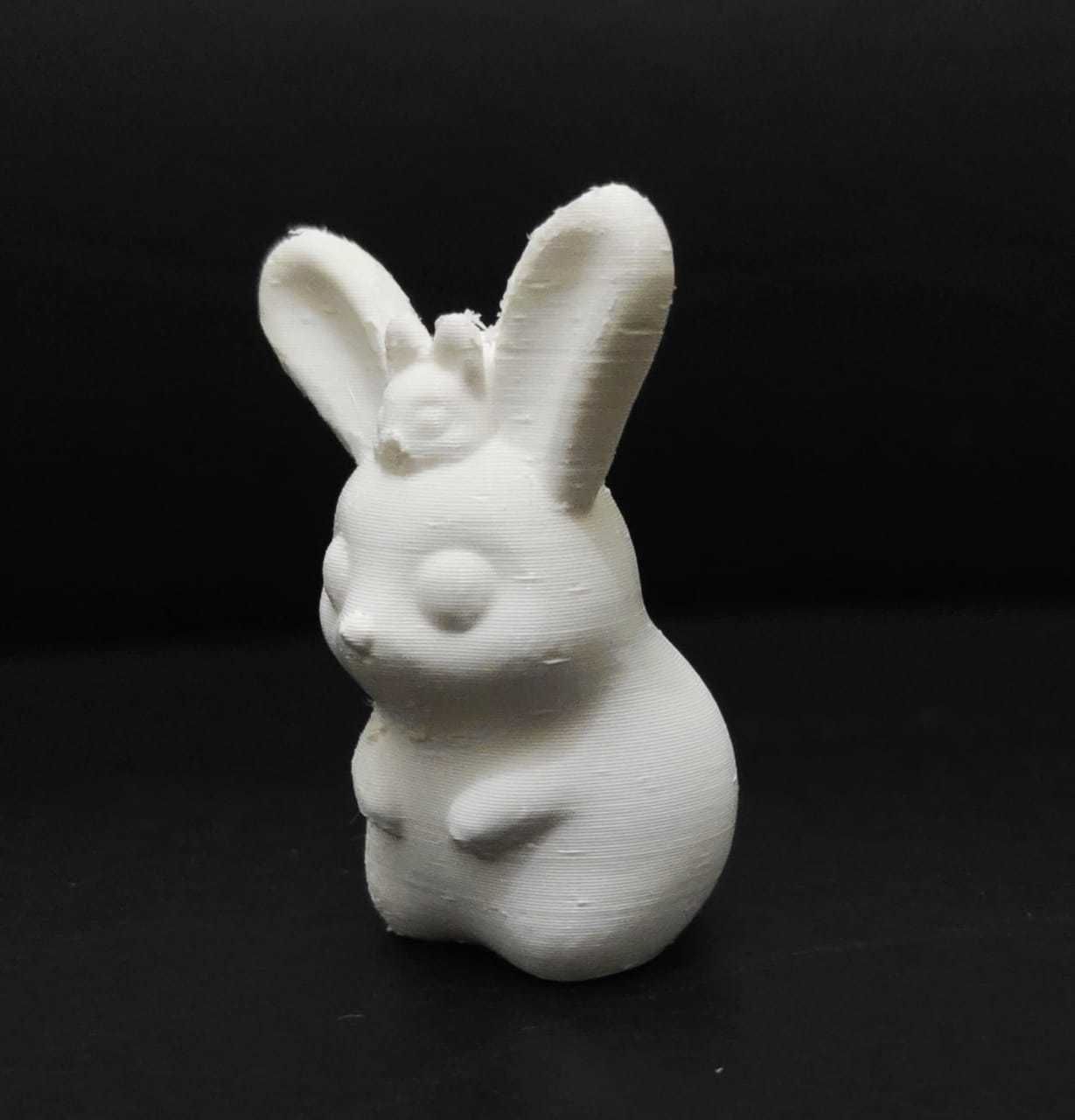 Bunny and Baby 3D print model_9