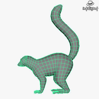 Low Poly Lemur Low-poly 3D model_4