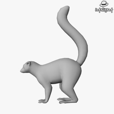 Low Poly Lemur Low-poly 3D model_1