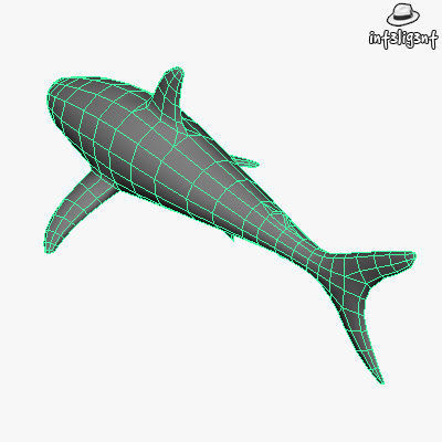 Low Poly Shark Low-poly 3D model_5