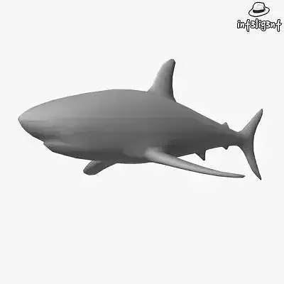 Low Poly Shark Low-poly 3D model