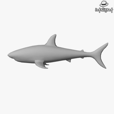 Low Poly Shark Low-poly 3D model_1
