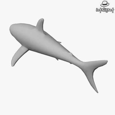 Low Poly Shark Low-poly 3D model_2