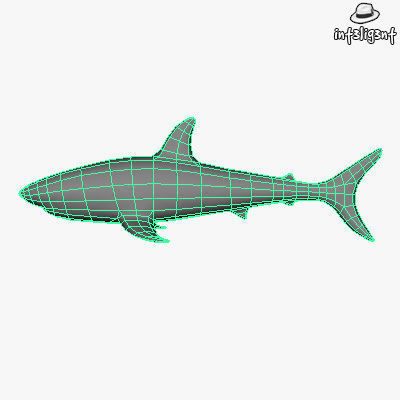 Low Poly Shark Low-poly 3D model_4
