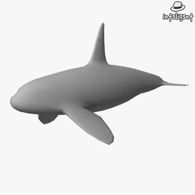 Low Poly Killer Whale Low-poly 3D model
