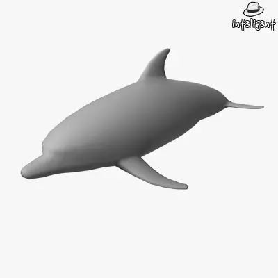 Low Poly Dolphin Low-poly 3D model_0
