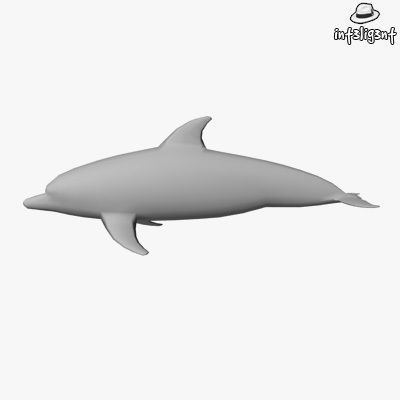 Low Poly Dolphin Low-poly 3D model_1