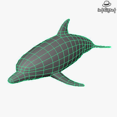 Low Poly Dolphin Low-poly 3D model_3
