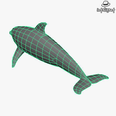 Low Poly Dolphin Low-poly 3D model_5