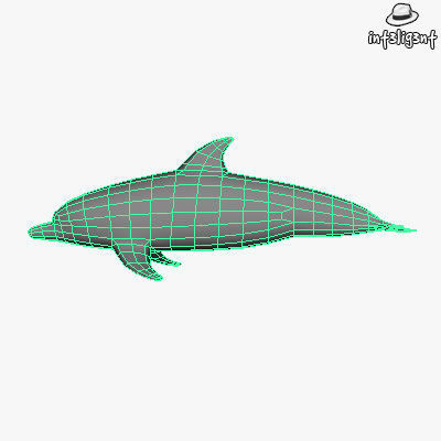 Low Poly Dolphin Low-poly 3D model_4